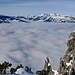 Panorama vom Nebelmeer mit links der Alvierkette und rechts dem Alpstein