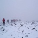 Die Gipfelhochflaeche (ca. 2000m) ist in Nebel gehuellt.