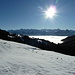 eine herrliche Sicht über den Nebel hinweg zu den Alpen