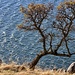 Walking along Folsom Lake