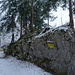 Bergwärts Richtung Rathlucken Hütte