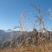 Bergherbst.