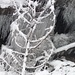 Winterliche Kunst - dutzende Eiszapfen an einer toten Fichte.