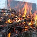 ............Fuoco sia !!!!