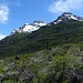 Cerro Situación über undurchdringlichen Wäldern. Die meisten Berge Argentiniens sind unerreichbar, da sie von endlosem, dichten Gestrüpp gegen alle Seiten abgeschirmt sind.
