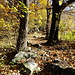 typisch Tessiner Wanderweg