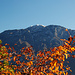 Herbstlaub und Altissimo