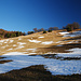 Wiese am Passo Guil