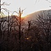 Il sole sta tramontando dietro al Sacro Monte.