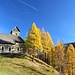 Traumhafter Herbsttag im Obernberger Tal