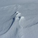 Hasenspuren, Hase mal nicht 'abgesoffen' sondern Spur angefroren und der lockere Schnee rundherum verblasen, ergibt statt 'Spuren im Schnee' ein Relief der Hasenpfoten.