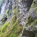 An der Urschlauer Achen findet man zahlreiche moosbewachsene Felsen.