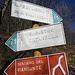 Alpe Mezzedo : bivio sentiero 31
