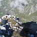 Abgrund hinter dem Schafberg richtung Säntis