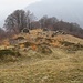 I ruderi dell’Alpe Curgei  dove anche qui, un po’ di anni fa, vivevano nel periodo degli alpeggi diverse famiglie che riuscivano a sostenere gli animali e la loro economia con il poco pascolo strappato al bosco e ai ripidi versanti.