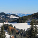 schöne Sicht vom Punkt 1117, (Breitenebnet) aus, hinüber zu den Vorarlberger Alpen.