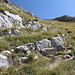 Im Aufstieg zwischen Qafa e Forumit und Maja e Rosit - Es geht über einen steilen Grashang, hier schaut mal etwas Fels heraus (für die mit Fantasie zu erahnende Markierung ;-).