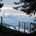 beim Sattel zwischen Schwarzenberg und Guntliberg - Blick auf die Glarner Alpen
