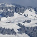 Alpe in der Nagelfluhkette