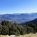 cresta verso il Monte Gradiccioli : panorama