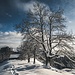 Winterwunderland Ochsenhöhi