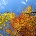 Herbst im Dehnepark
