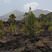 Teide National Park. Ganz hinten der Pico del teide.