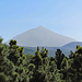 Teide National Park. Ganz hinten der Pico del teide.