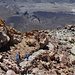 Auf dem Krater des Pico del Teide.