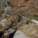 Historischer Damm mit Wanderweg.