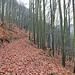 Flurweg am Talhang des Mikulovské údolí