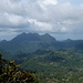 Mount Gimie-der höchste auf St.Lucia-überwuchert von Dschungel