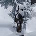 Holzfigur im Schnee