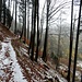 Annäherung an den Schnee vor Wuesthöchi