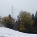 Übergang zu Schneeauflage und -gestöber nach Wuesthöchi
