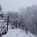 nach dem steilen Anstieg ab Gwidemhöchi wird's winterlich
