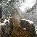 auch mit Schnee beeindruckt die Gwidemflue