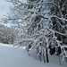 Winterlandschaft