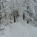 der verschneite Schatteberg-Grat
