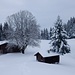 die grosse, sommers landwirtschaftlich genutzte, Lichtung Hornbachegg im Winterkleid