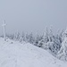 Gipfelkreuz Hasenmatt - in weiss-hellgrauer Umgebung