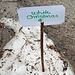 Wenn alles nichts hilft, wird halt der Schneehaufen am Wegrand zur Weißen Weihnacht deklariert