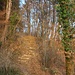 Am Beginn vom Windetel-Tal beginnt der eigentliche Aufstieg zum Grammet / Gross Grammel. Ein steiler Treppenweg leitet zur grossen Waldlichtung Rüti.