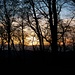 Sonnenuntergang im Wald auf dem Grammet / Gross Grammel (589m).
