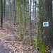 gleich nach dem Eintritt in den Wald führt links der Wanderweg Nr. 14 weiter, der auch ........