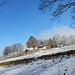 ... aufs offene, flachere, Gelände des Bözingenbergs hinaustreten
