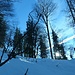 Der Westgrat des Wenigbergs ist einfach ein Schneeschuhtraum! Schießlich geht die Sonne auf.<br />(Meine Kamera hat noch Sommerzeit: es ist 11:30 Uhr)