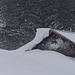 Massig Schnee an der Rangiswanger Alpe