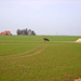 Ein typisches Bild aus der Calenberger Börde, der großen Agrarsteppe vor dem Deister.