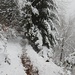 ... aufsteigen durch schönen Winterwald ...